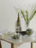 Stelton Кулер для вина Pilastro из прозрачного стекла, 11 см — фото 4