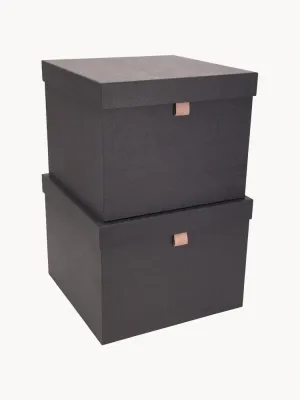 Bigso Box of Sweden Набор коробок для хранения Tristan, 2 предмета, арт. G10110