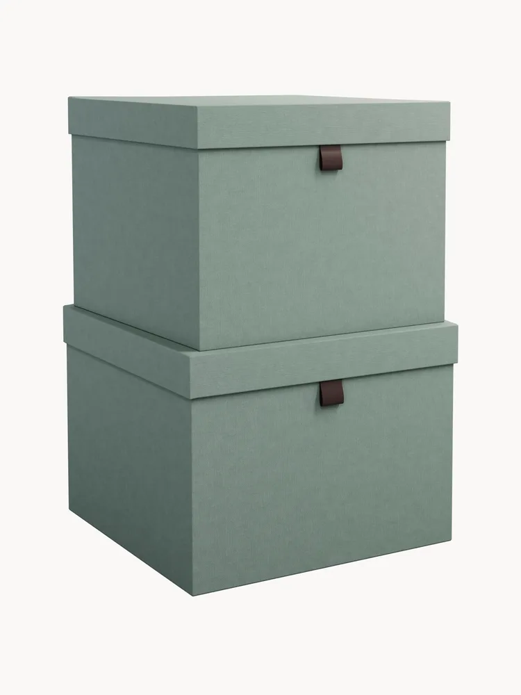 Bigso Box of Sweden Набор коробок для хранения Tristan, 2 предмета, арт. G10518
