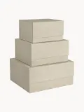Bigso Box of Sweden Комплект коробок для хранения Ilse, 3 предмета — фото 1