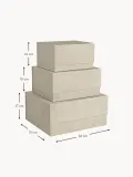Bigso Box of Sweden Комплект коробок для хранения Ilse, 3 предмета — фото 2
