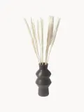 Cooee Design Сухоцветы Pampas — фото 4