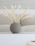 Cooee Design Сухоцветы Pampas — фото 5