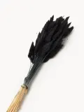 Cooee Design Сухоцветы Lagurus — фото 2