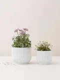 Lyngby Porcelaen Кашпо Lyngby, 11 см — фото 2