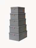 Store It Комплект коробок для хранения Premium, 5 предметов, арт. O18391 — фото 1