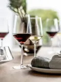 Zwiesel Glas Набор бокалов для красного вина Pure, 2 шт, 540 мл, Ø 9 × В 24 см, 540 мл, Прозрачный — фото 4