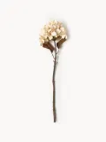 Bloomingville Искусственный цветок Hortensie декоративный, Кремово-белый — фото 1