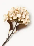 Bloomingville Искусственный цветок Hortensie декоративный, Кремово-белый — фото 2