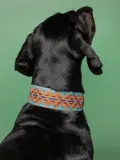 Buddys Dogwear Ошейник для собак Etna ручной работы из кожи с хлопковым плетением, ширина 4 см, длина 32, 40 и 48 см, зелёно-бирюзовый — фото 4