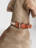 Buddys Dogwear Ошейник для собак Baseball ручной работы из кожи и хлопка, ширина 2 см, три размера до 48 см, светло-серый с коричневым — фото 5