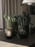 DBKD Ваза Simple Stripe из стекла высотой 18 см — фото 4