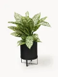 Ferm Living Кашпо на подставке Bau, 38 см, Ø 28 × В 38 см, Чёрный — фото 2