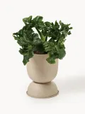 Ferm Living Кашпо Hourglass, высота 30 см, Ø 21 × В 30 см, Светлый бежевый — фото 3