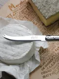 Laguiole by André Verdier Набор ножей для сыра Laguiole Debutant Inox, 2 предмета — фото 3