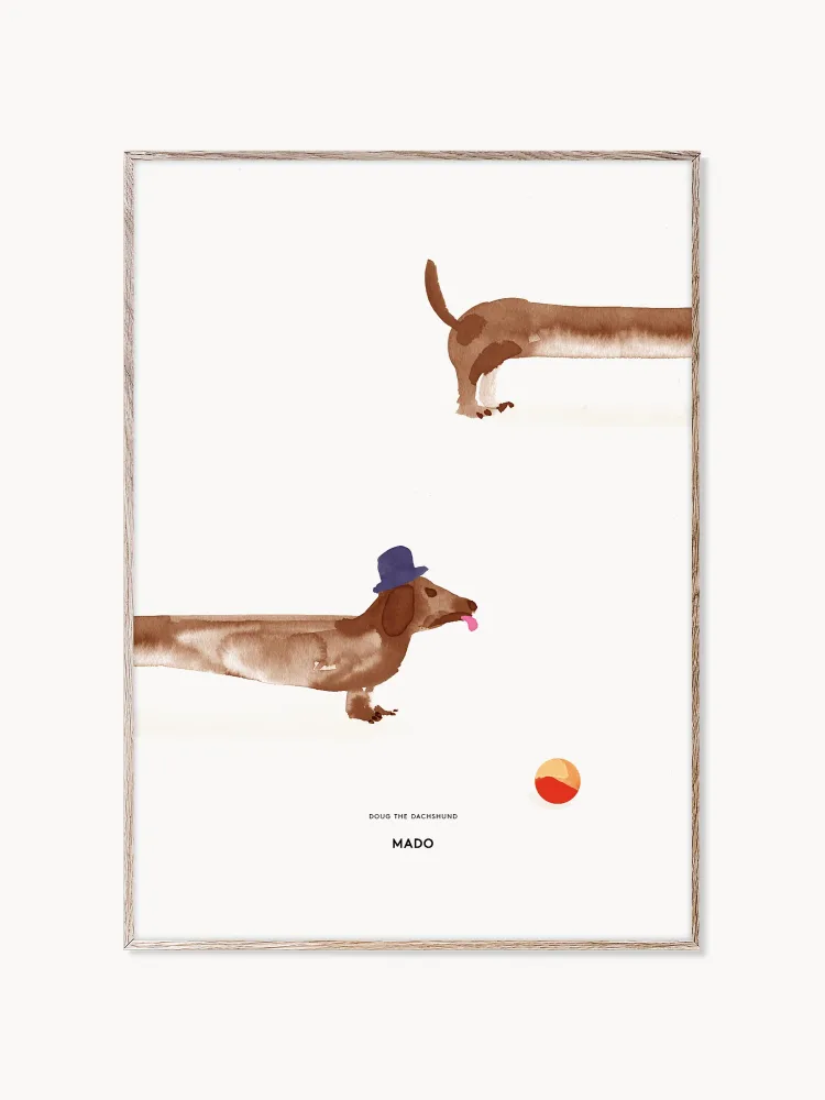 MADO Постер Doug the Dachshund, 50 x 70 см