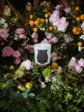 Ароматическая свеча Trudon Rose Poivrée — фото 3