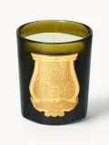 Ароматическая свеча Trudon Ernesto — фото 1