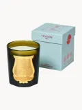 Ароматическая свеча Trudon Ernesto — фото 2