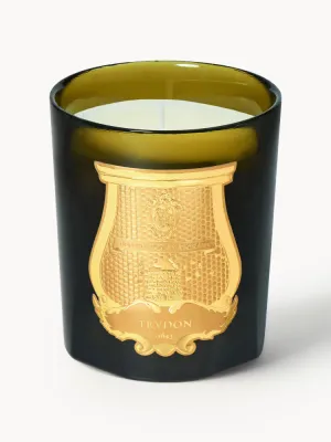 Ароматическая свеча Trudon Cyrnos