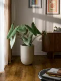 Westwing Collection Кашпо Tuscany, 49 см, Ø 34 × В 49 см, Светлый бежевый — фото 5