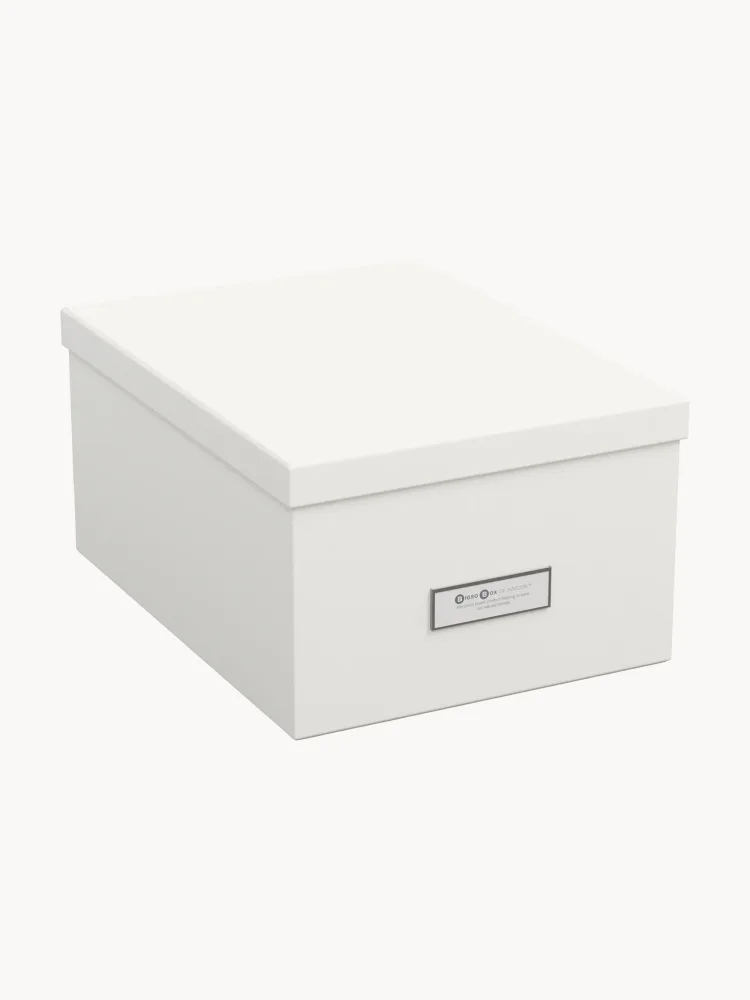 Bigso Box of Sweden Коробка для хранения Gustav II с крышкой, Ш 30 × В 15 см, Белый