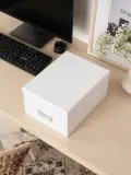 Bigso Box of Sweden Коробка для хранения Gustav II с крышкой, Ш 30 × В 15 см, Белый — фото 5