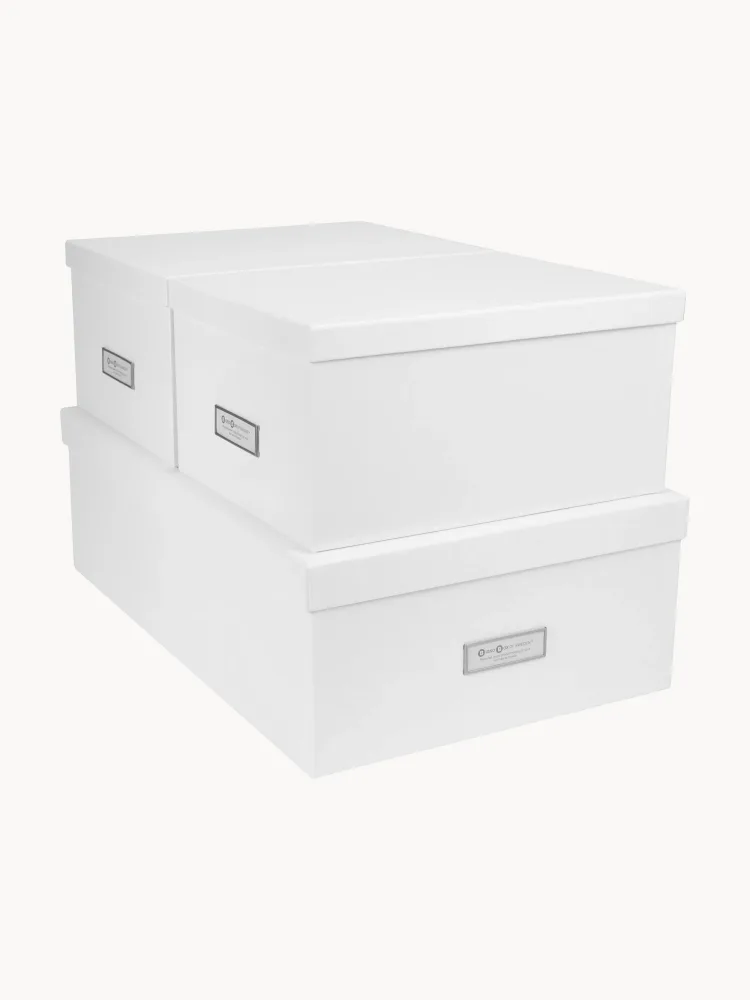 Bigso Box of Sweden Комплект коробок для хранения Inge II, 3 предмета
