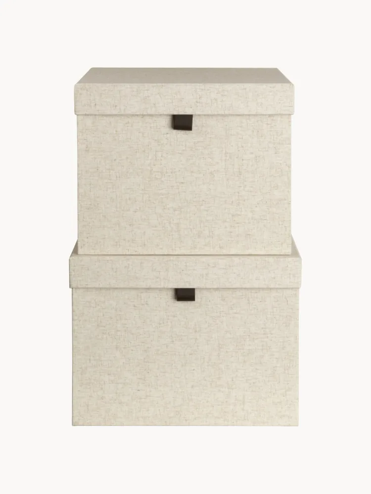 Bigso Box of Sweden Набор коробок для хранения Tristan, 2 предмета, арт. G98407