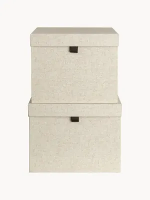 Bigso Box of Sweden Набор коробок для хранения Tristan, 2 предмета, арт. G98407
