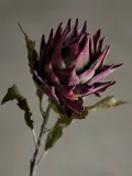 Bloomingville Искусственный цветок Protea декоративный — фото 3