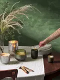 Ароматическая свеча ILLUME сосновая хвоя, корица и дубовый мох — фото 6