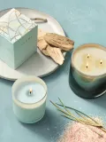 Ароматическая свеча ILLUME Refill жасмин и морской бриз — фото 5