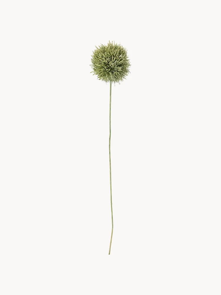 Bloomingville Искусственный цветок Allium декоративный, Ш 13 × Д 63 см, Зелёный