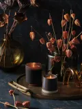 Ароматическая свеча ILLUME Refill кедр, замша и янтарь — фото 7