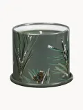 Ароматическая свеча ILLUME Vanity Tin малая, хвоя и корица — фото 2