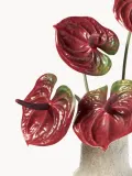 Botane Букет искусственных цветов Extra Spicy — фото 2