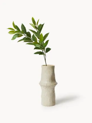 Botane Ветка декоративная Ruscus