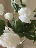 Botane Букет искусственных цветов Peony, 5 стеблей — фото 3