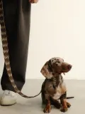 Buddys Dogwear Ошейник для собак Peruvian ручной работы из кожи и хлопка, ширина 4 см, три размера до 48 см, коричневый с бежевым — фото 5