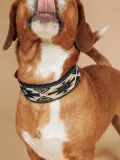 Buddys Dogwear Ошейник для собак Peyote ручной работы из кожи и хлопка, ширина 4 см, три размера до 48 см, синий с жёлтым — фото 4