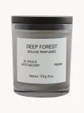 Ароматическая свеча FRAMA Deep Forest — фото 1