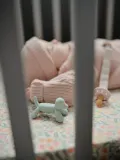 Mushie Прорезыватель для зубов Doggy в форме собачки из пищевого силикона, 8 х 5 х 5 см, мятный зелёный — фото 5