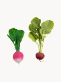 Oli & Carol Прорезыватель Ramona the Radish из натурального каучука, ручная работа, розово-зелёный, 12 x 16 см — фото 2