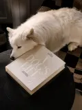 Фотоальбом Printworks A Dog's Life на 30 страниц с тканевой обложкой, 33х27х5 см, кремово-белый — фото 3