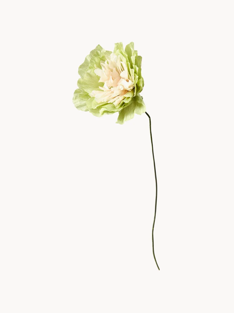 STUDIO ABOUT Искусственные цветы Veggie Rose ручной работы, Д 43 см, Светлый зелёный