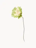 STUDIO ABOUT Искусственные цветы Veggie Rose ручной работы, Д 43 см, Светлый зелёный — фото 1