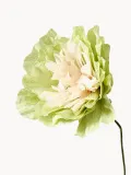 STUDIO ABOUT Искусственные цветы Veggie Rose ручной работы, Д 43 см, Светлый зелёный — фото 2