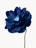 STUDIO ABOUT Искусственный цветок ручной работы Oriental Poppy из крепированной бумаги, Д 43 см, Синий — фото 2