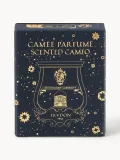 Набор ароматических свечей Trudon Fir, 4 предмета — фото 3